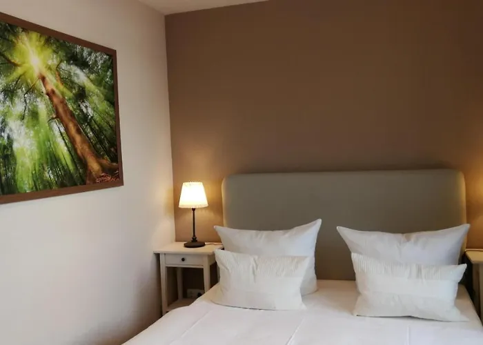 Kwi 33 Eg * Graal-Mueritz